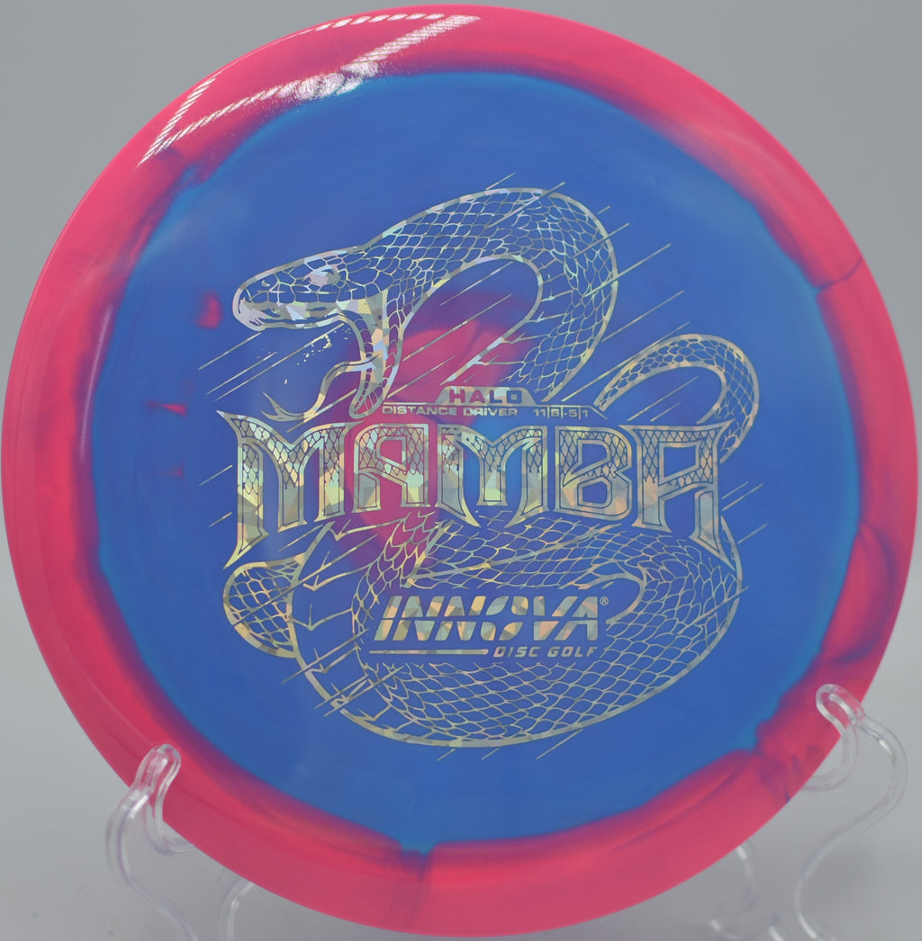 Halo Star Mamba parked on a technical fairway approach at Hornets Nest Disc Golf Course in Charlotte, North Carolina.