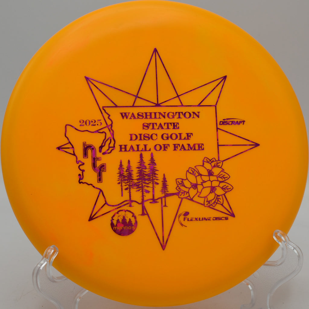 Discraft Challenger parked under the basket at Blue Ribbon Pines in East Bethel, Minnesota