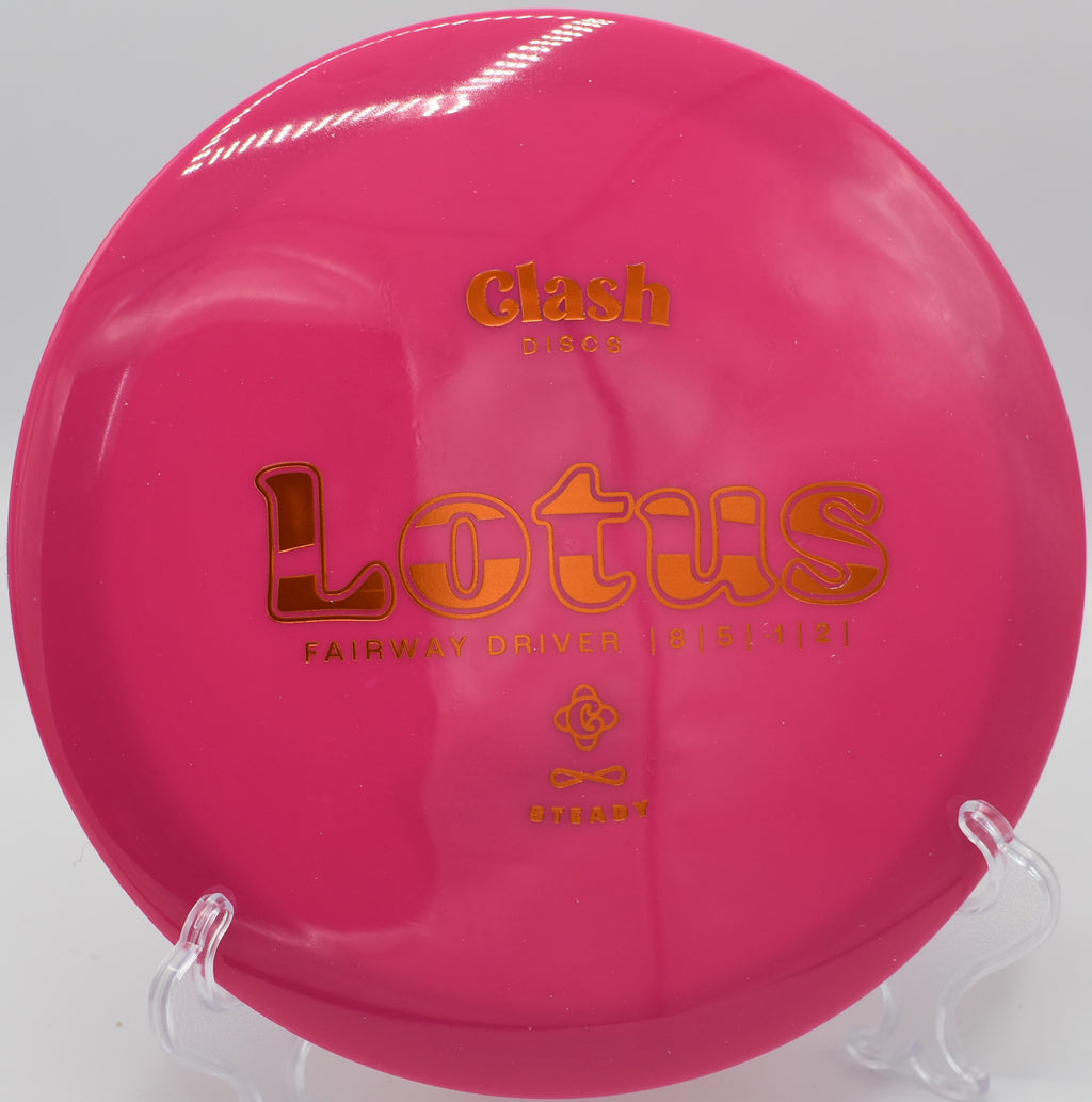 Clash Discs Steady Lotus dropping into the basket on Hole 14 at Harmon Hills Disc Golf Course, Fall Branch, Tennessee.