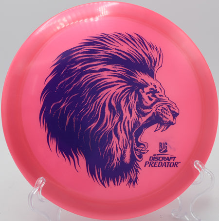 Discraft Big Z Predator – Overstable distance driver with a reliable finish, perfect for flex shots and long-range drives at Rolling Ridge Disc Golf Course in Salt Lake City, Utah.