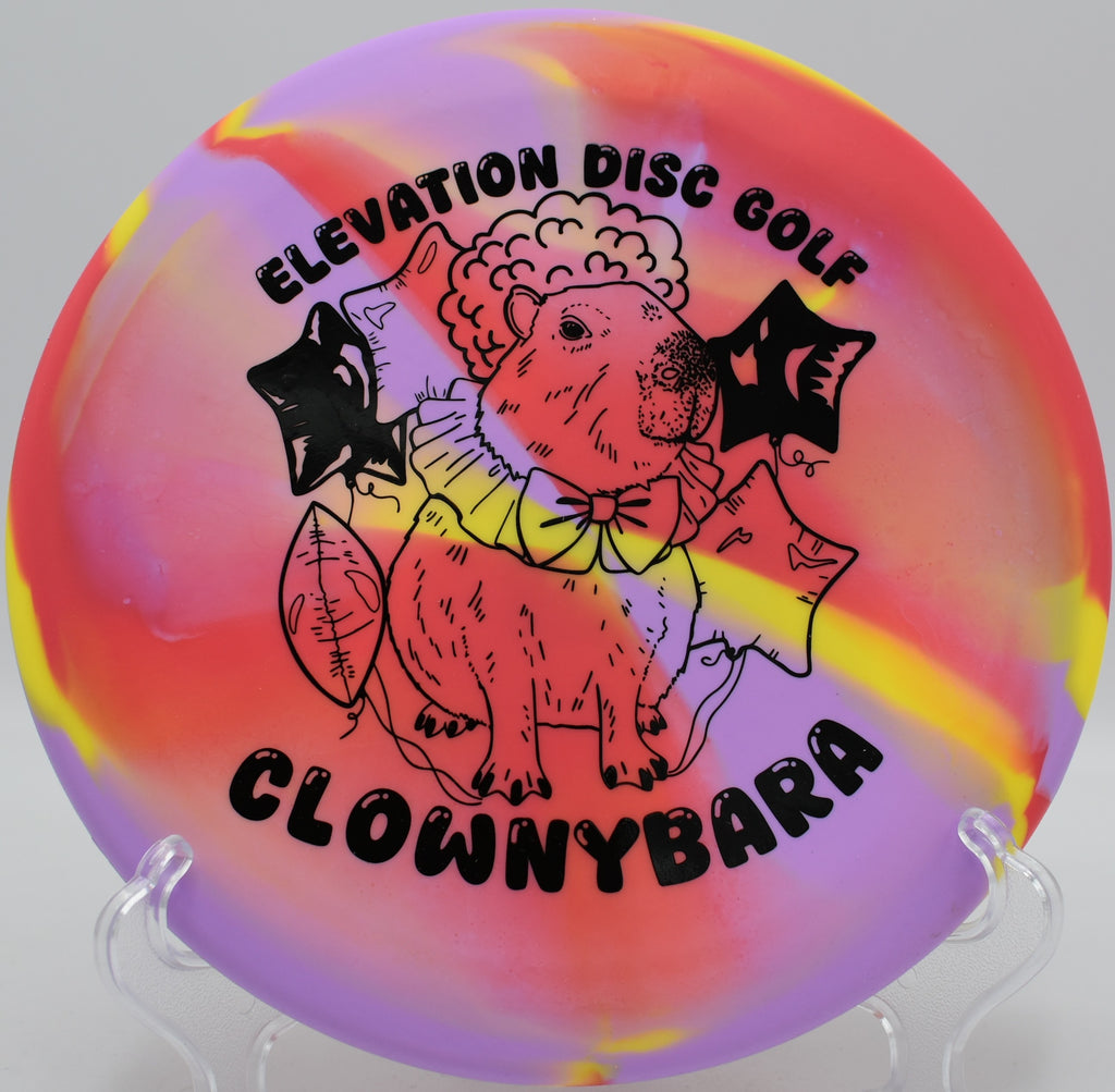 OG Capybara flat approach at Little Mulberry Park in Dacula, Georgia