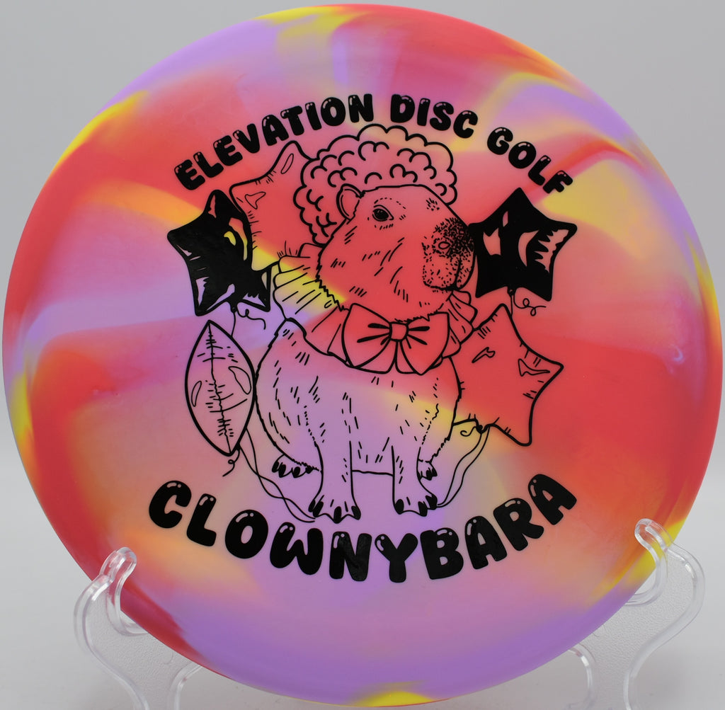 Capybara touch throw landing soft at James Island County Park in Charleston, South Carolina