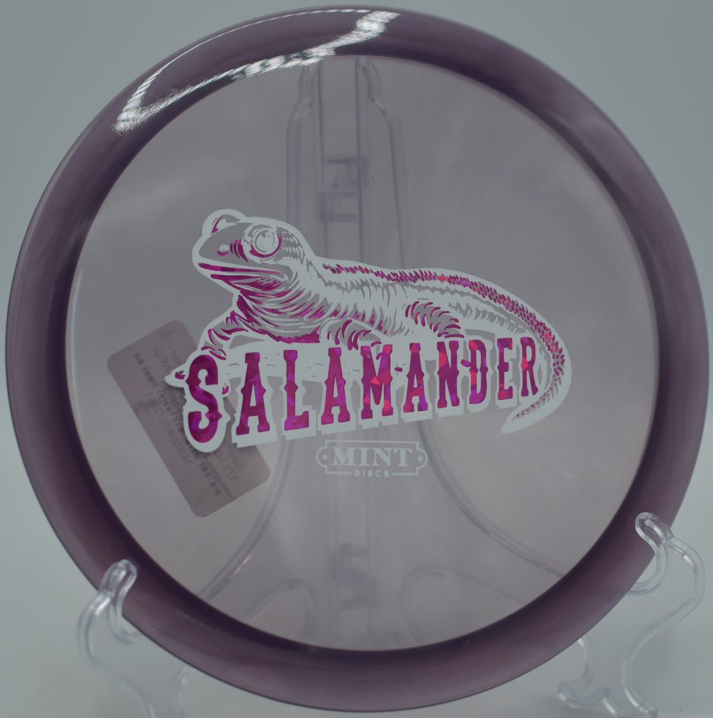 Eternal Salamander launching on a hyzer-flip line at Sandy Point DGC in Lac du Flambeau, WI, gliding long with understable finesse.