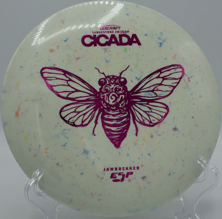 Jawbreaker ESP Cicada midrange gliding through a tight line at Maple Hill Disc Golf Course in Leicester, Massachusetts, with signature gummy feel and straight finish.

