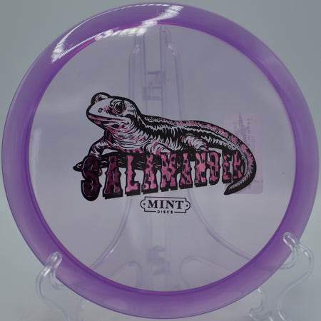 Mint Eternal Salamander carving a drifting turnover at SeaTac DGC in SeaTac, WA, floating smoothly before a gentle fade.