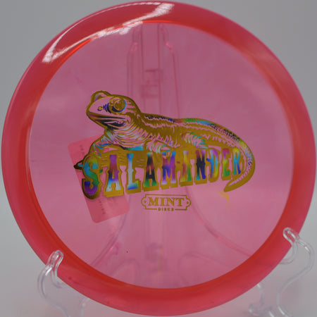 Eternal Salamander ripping through a wooded tunnel at Reedy Creek DGC in Charlotte, NC, holding a clean, glide-heavy line.