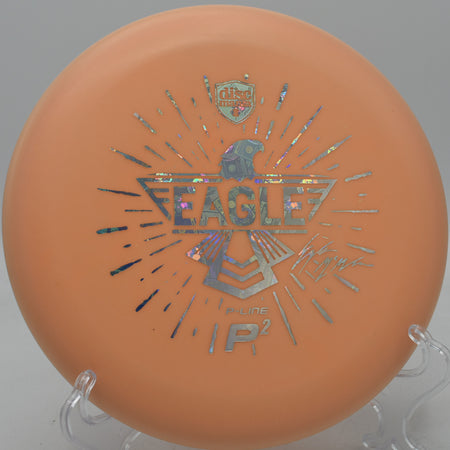 Discmania Eagle Totem Glow P2 dropped softly under the basket at Maple Hill DGC in Leicester, Massachusetts.

