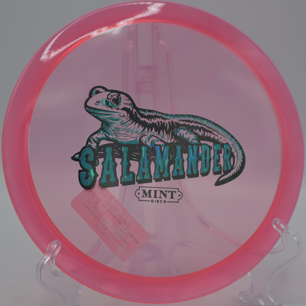 Mint Discs Eternal Salamander executing a touch roller at Fountain Hills DGC in Fountain Hills, AZ, curling through the fairway with finesse.