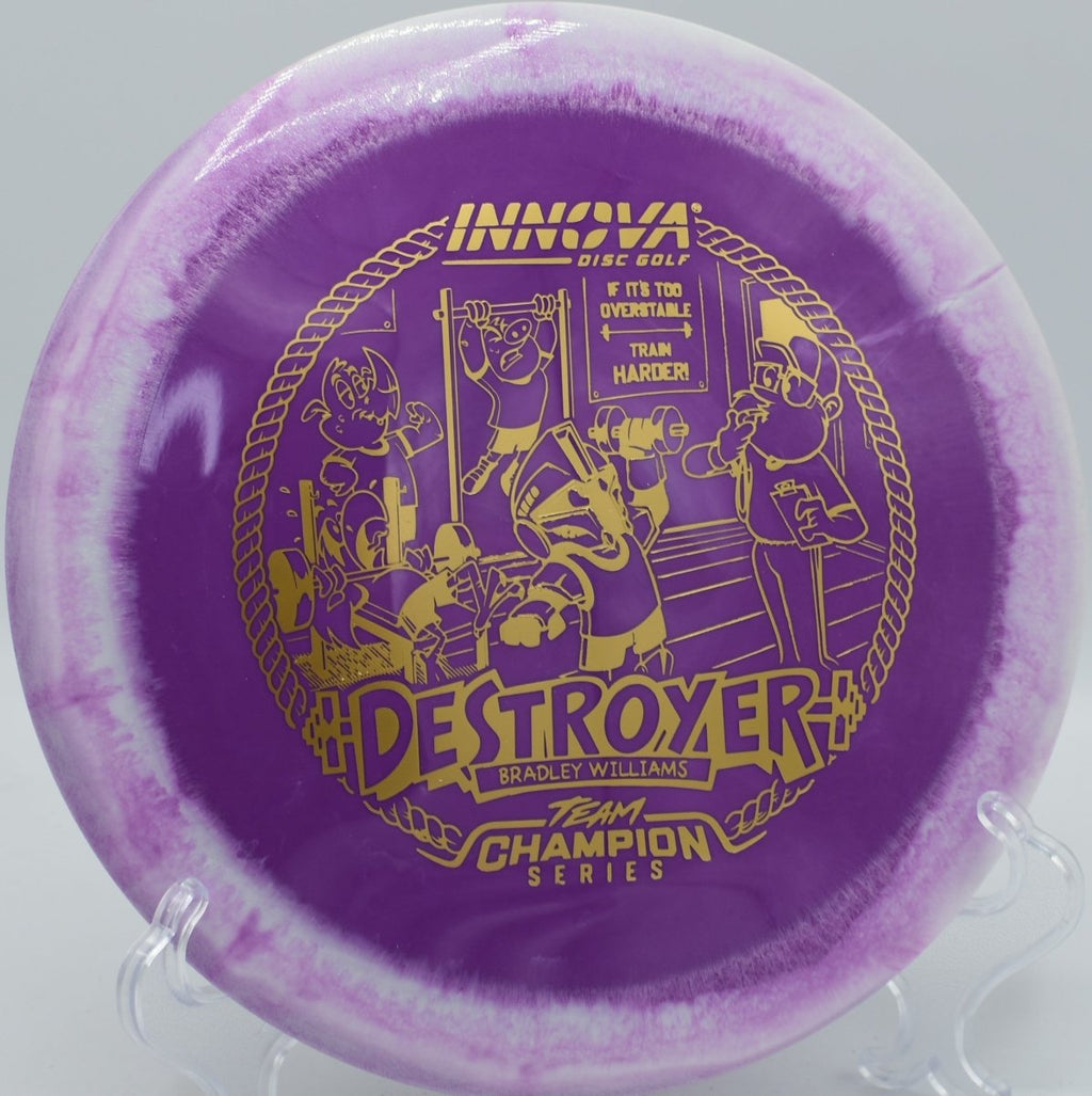 Bradley Williams Halo Star Baby Destroyer lightweight driver carving flex line at Roy G Guerrero Disc Golf Course Texas