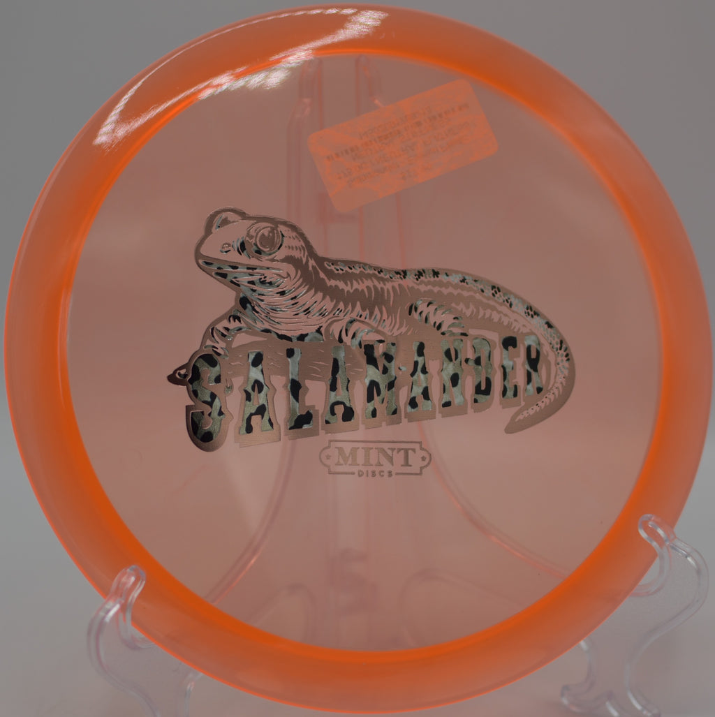 Mint Eternal Salamander launching a clean backhand at Heritage Park DGC in Belton, KS, drifting right before a soft, predictable finish.