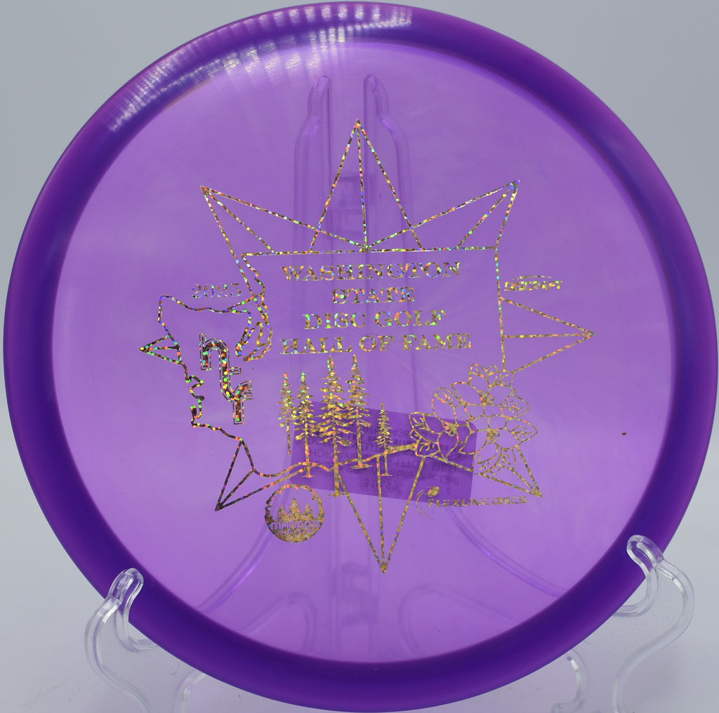 Z Buzzz SS holding a laser-straight line at Hornets Nest Disc Golf Course in Charlotte, North Carolina