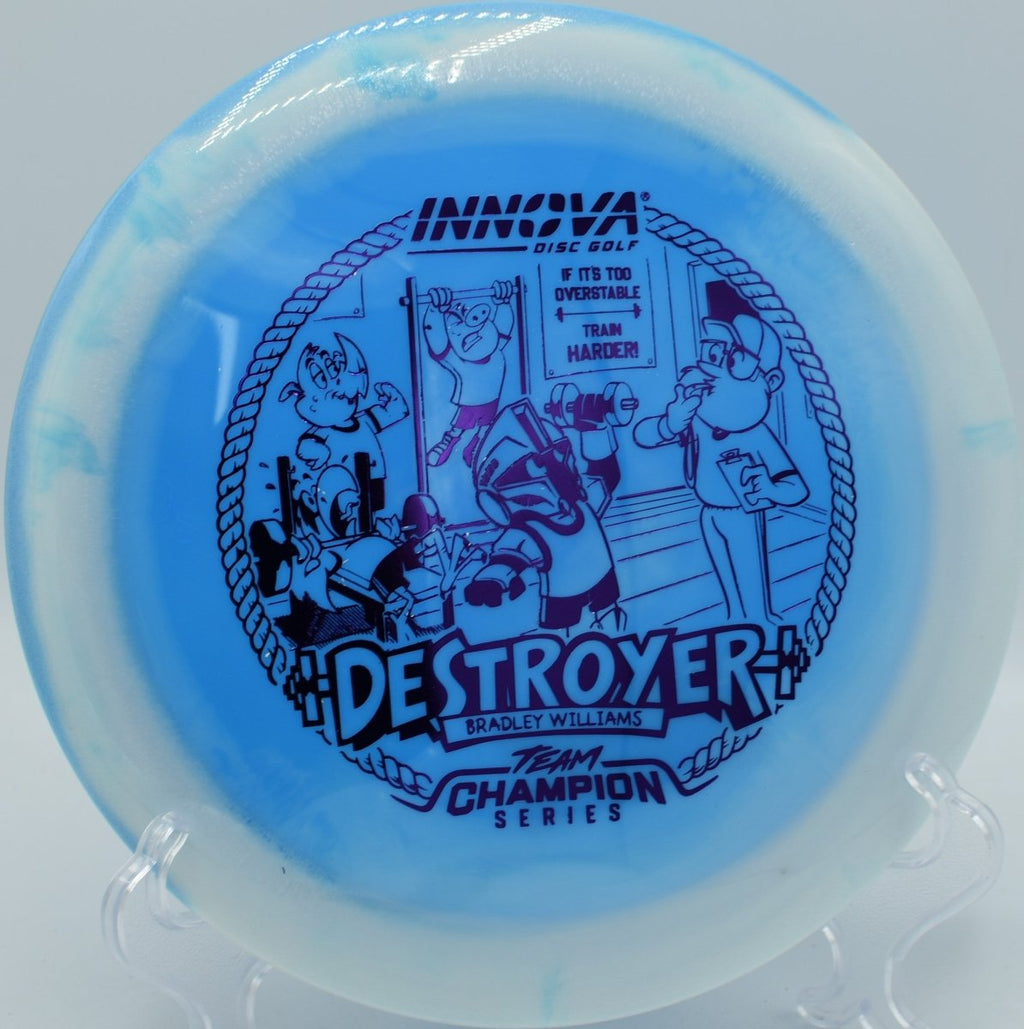 Bradley Williams Halo Star Baby Destroyer disc golf distance driver holding torque at North Boundary Disc Golf Course Pennsylvania