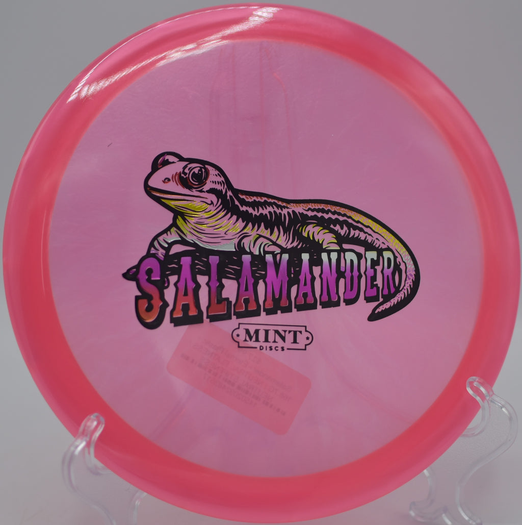 Eternal Salamander drifting on a smooth anhyzer at North Boundary Park DGC in Cranberry Township, PA, holding the line deep down the fairway.