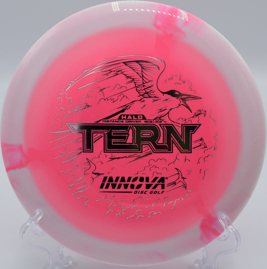 Halo Star Tern maximizing glide and turnover control in Reno, Nevada – an essential disc for high-speed distance drives.
