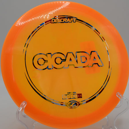 Z Cicada shaping a technical line between pines at Maple Hill in Leicester, Massachusetts.

