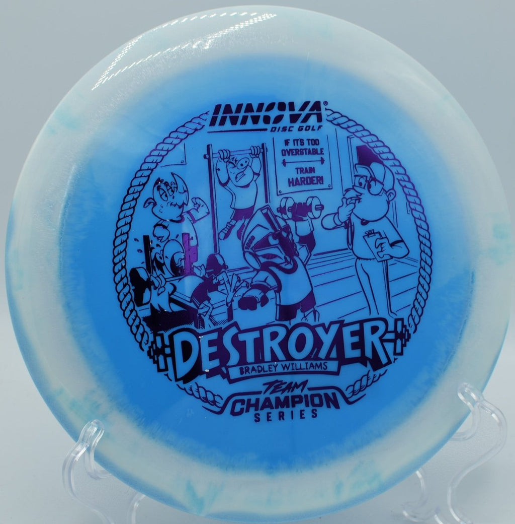 Bradley Williams Halo Star Baby Destroyer distance driver with smooth fade at Hornets Nest Park Disc Golf Course North Carolina