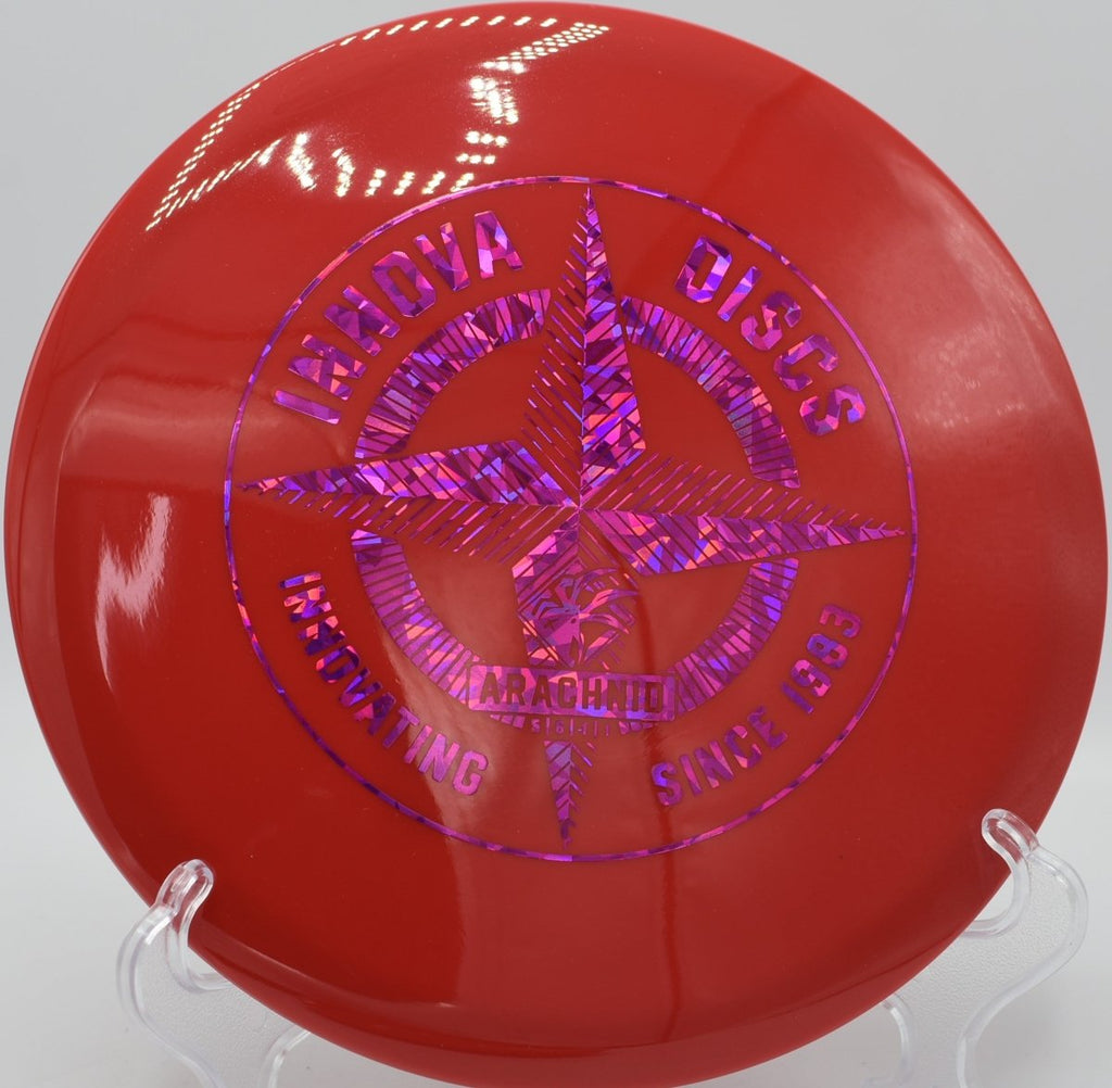 Innova Protostar Arachnid midrange resting beside chains after a touch forehand approach at Freedom Park Disc Golf Course in Williamsburg, Virginia