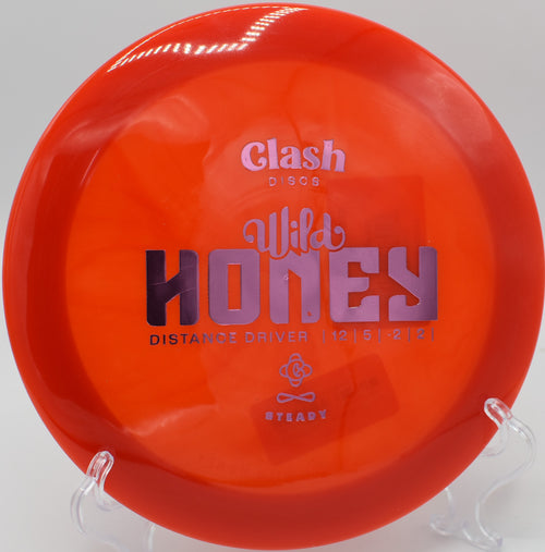 "Wild Honey disc resting near the basket in Phoenix, Arizona, highlighting its versatility and reliable flight path."
