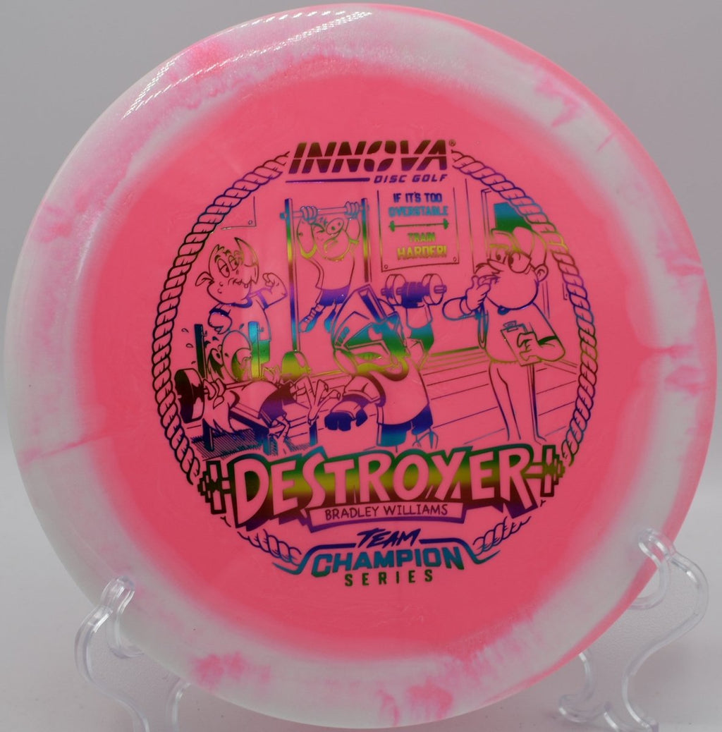 Bradley Williams Halo Star Baby Destroyer lightweight Destroyer flying controlled line at Fort Steilacoom Park Washington