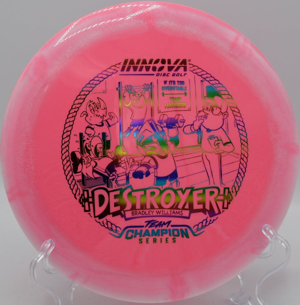 Bradley Williams Halo Star Baby Destroyer disc golf driver pushing forward at SeaTac Disc Golf Course Washington