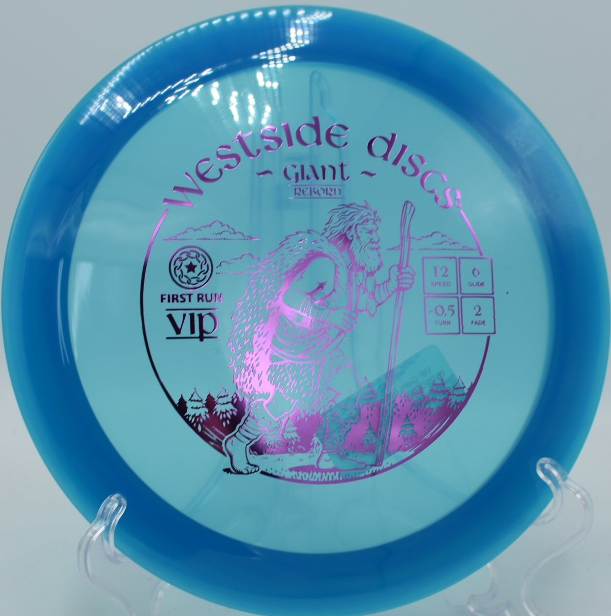 Westside VIP Giant Reborn displayed at Brewster Ridge DGC, Jeffersonville VT for reliable long-distance control