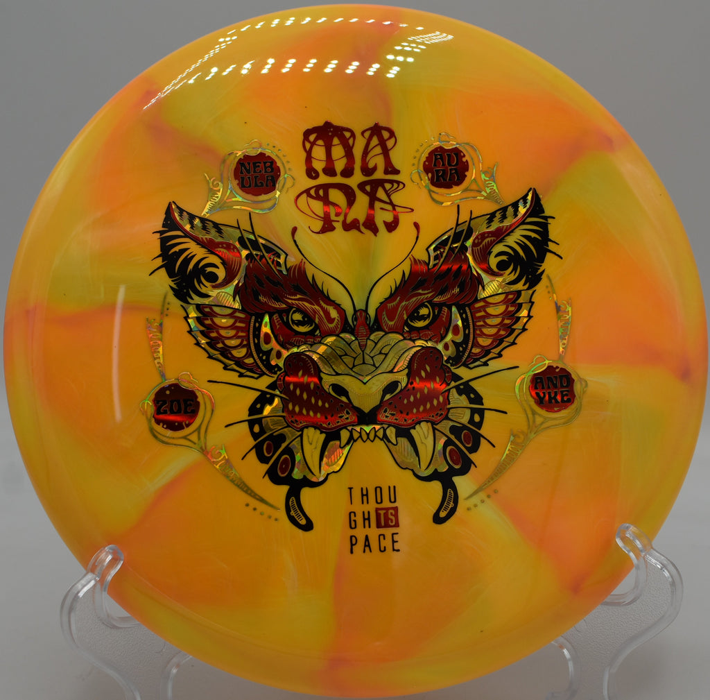 TSA Mana slow turnover at Ewing Park in Des Moines, Iowa

