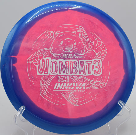 Innova Wombat3 held in fan grip before a tunnel shot at Earlewood Park in Columbia, South Carolina

