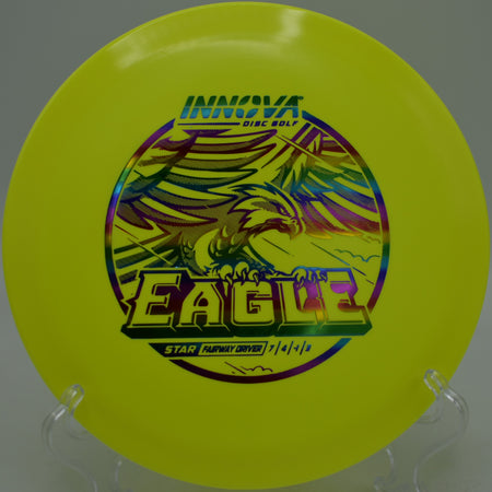 Star Eagle flying straight then fading near basket at Hornets Nest Disc Golf Course, Charlotte NC