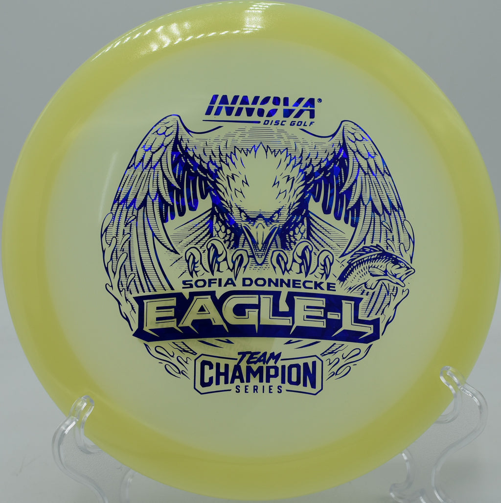 Champion Glow Eagle-L tracking straight with a gentle finish at North Boundary Park in Cranberry Township, Pennsylvania.

