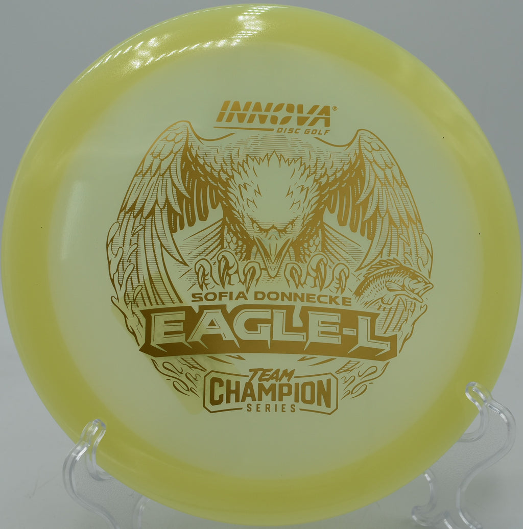 Champion Glow Eagle-L floating on a controlled forehand release at Maple Hill Disc Golf Course in Leicester, Massachusetts.

