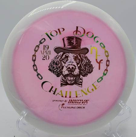 Innova Halo Champion Roadrunner – Understable driver with Halo Champion plastic and a glowing effect, great for beginners and long-distance throws.

