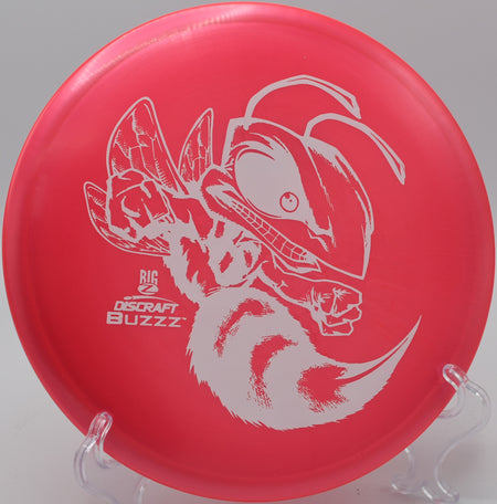 Discraft Big Z Buzzz – High-performance stable midrange for accuracy, ideal for precision upshots and midrange drives at Blue Ribbon Pines Disc Golf Course in East Bethel, Minnesota.

