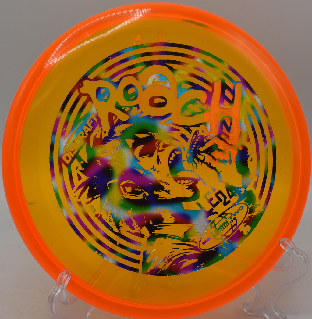 Crystal Roach (Ledgestone)