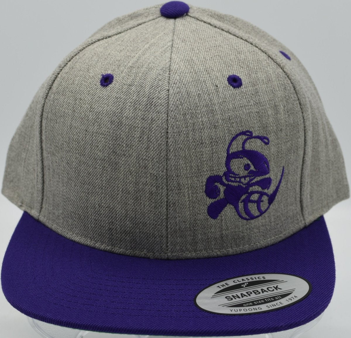 Buzzz Logo Two Tone Snapback Hat