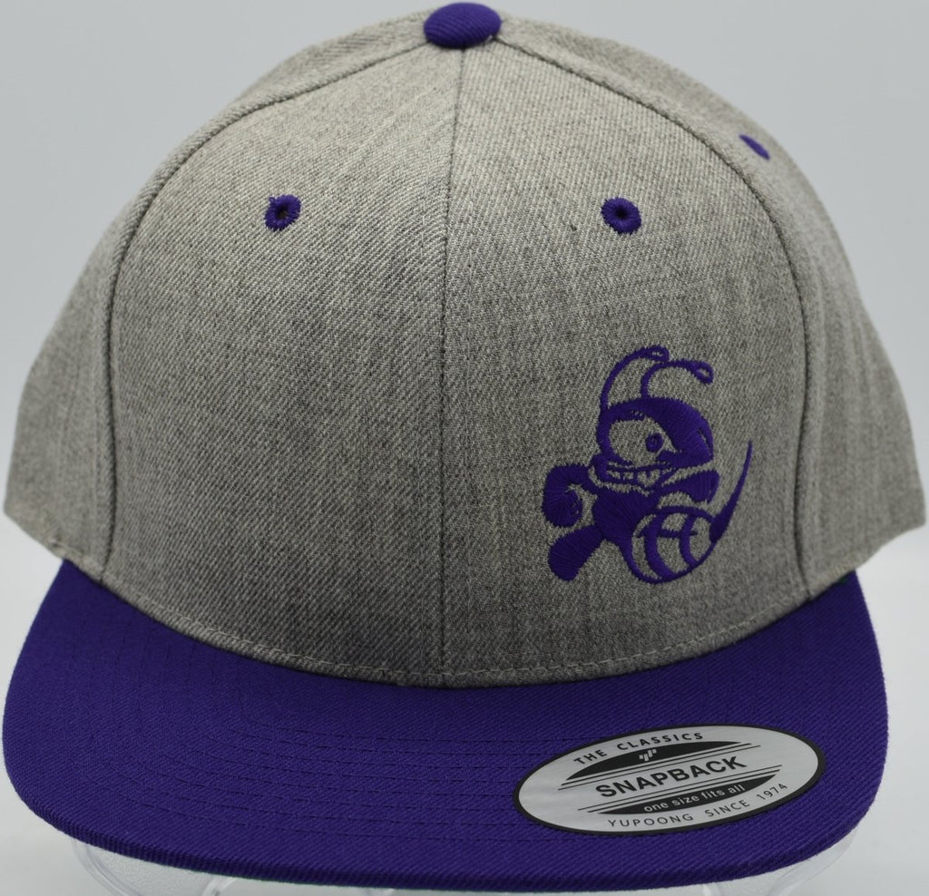 Buzzz Logo Two Tone Snapback Hat