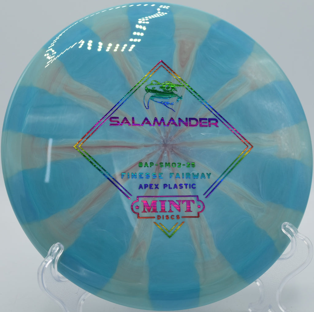 Salamander in Apex Swirl plastic gliding toward basket at Oregon Park in Marietta, Georgia

