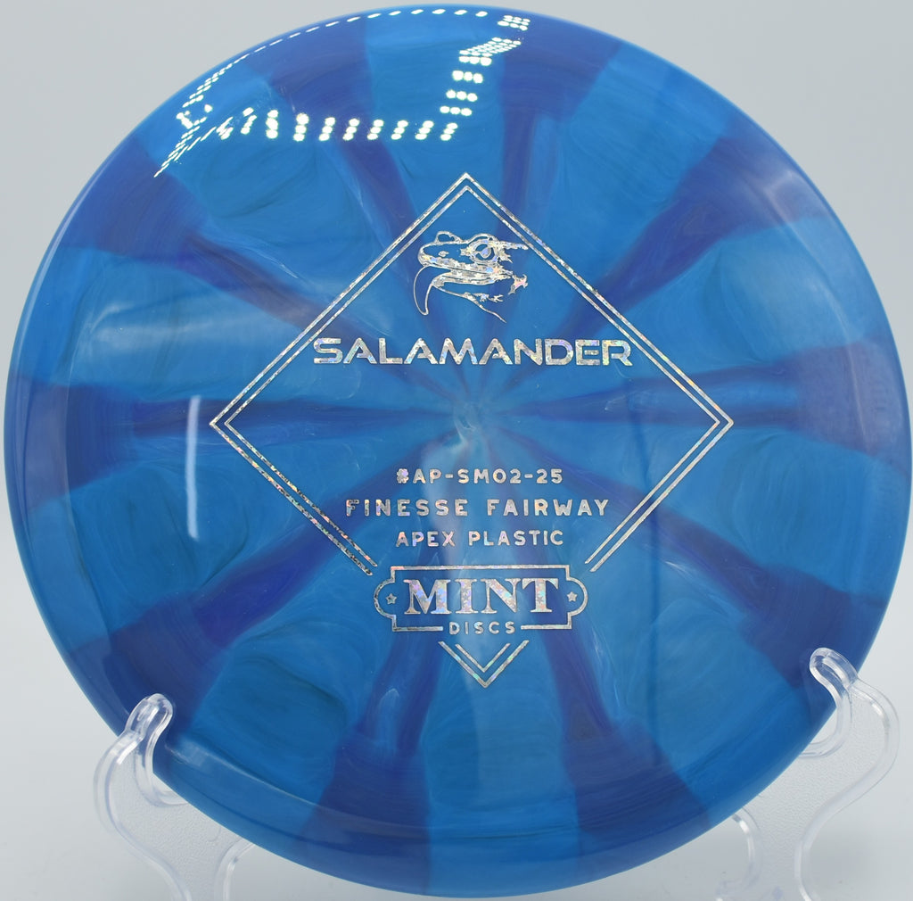 Apex Swirl Salamander clean throw into headwind at SeaTac Disc Golf Course in SeaTac, Washington

