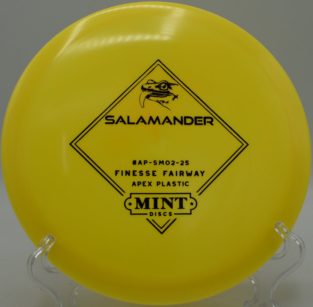 Mint Apex Salamander with full glide at Vista del Camino in Scottsdale, Arizona


