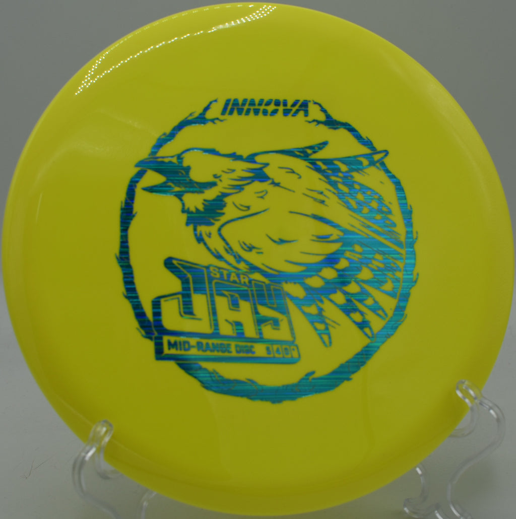 Touchy approach with a Star Jay at Cherry Hill Park Disc Golf Course in Falls Church, Virginia.

