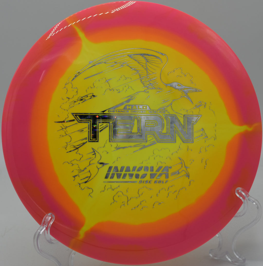 Halo Star Tern flipping up to flat at Tom Brown Park Disc Golf Course in Tallahassee, Florida.

