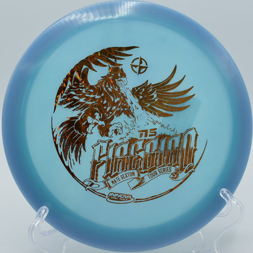 Sexton Glow Firebird disc golf disc in Phoenix, AZ – designed for windy conditions.
