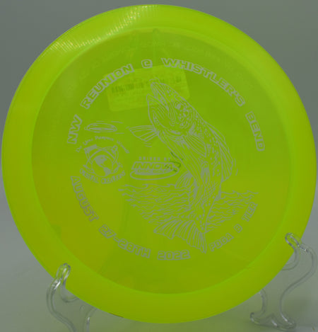 Innova Champion Eagle fading gently toward the pin on Hole 14 at Timber Ridge Disc Golf Course, Castile, New York.
