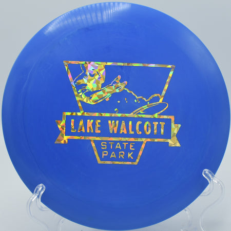 Innova Star Destroyer ripping through a tight gap on Hole 16 at Bear Mountain Disc Golf Course, Wise River, Montana.
