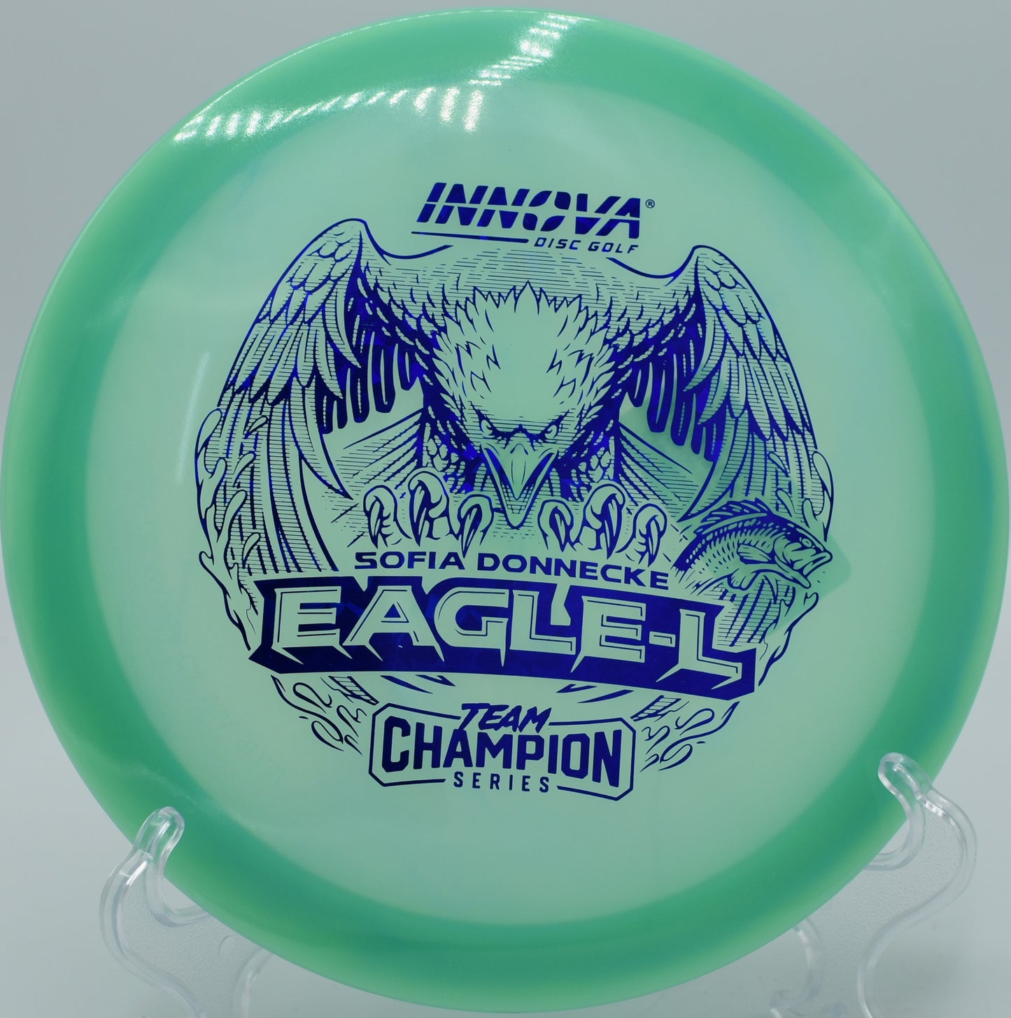 Innova Glow Eagle-L carving a gentle hyzer on Hole 12 at Rolling Pines Disc Golf Course, Wilkesboro, North Carolina.
