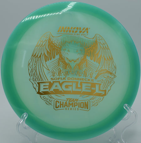 Glow Eagle-L carving a precise line on Hole 10 at Maple Hill Disc Golf Course, Leicester, Massachusetts.
