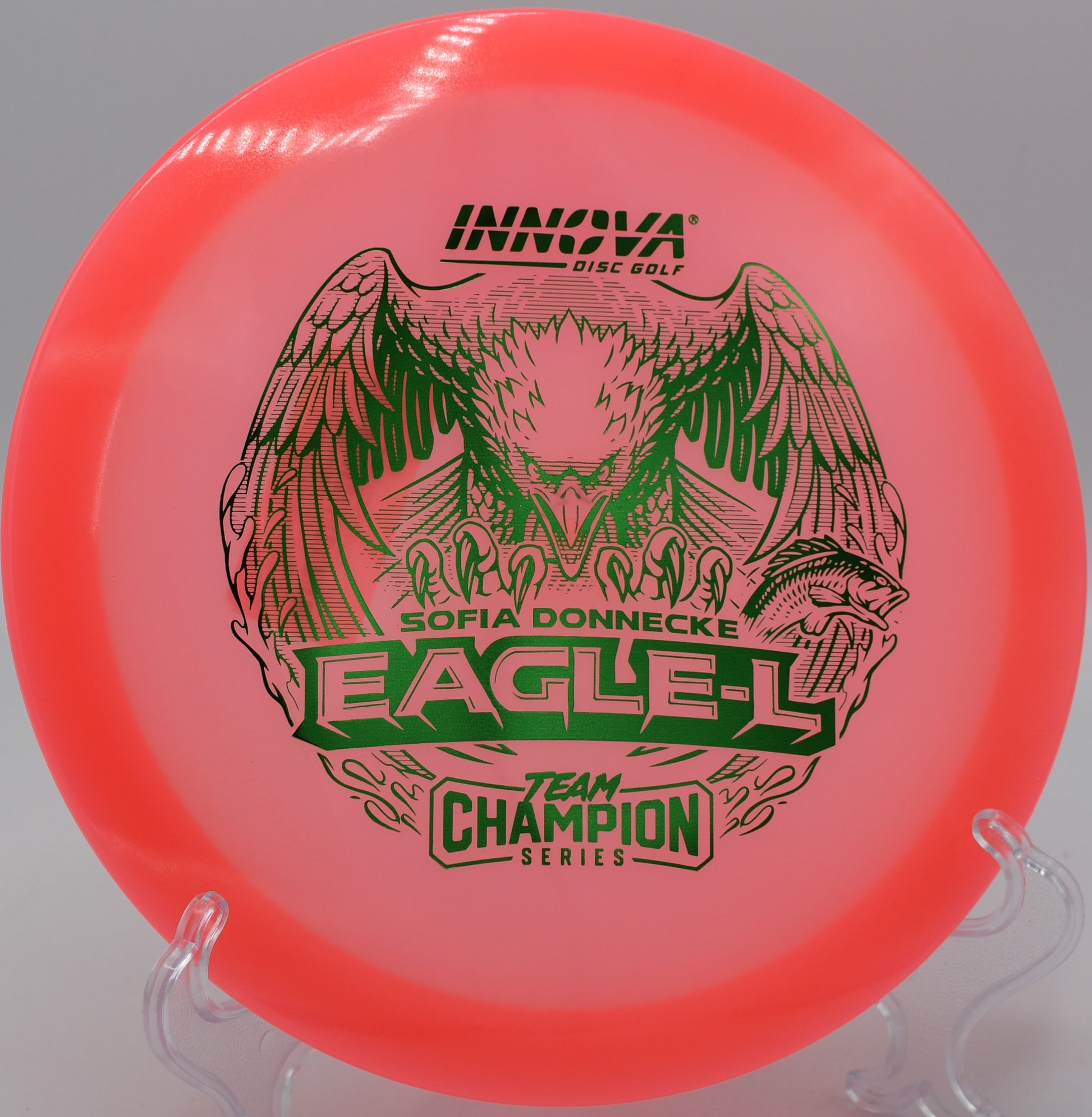 Innova Glow Eagle-L landing with control on Hole 6 at Harmon Hills Disc Golf Course, Fall Branch, Tennessee.
