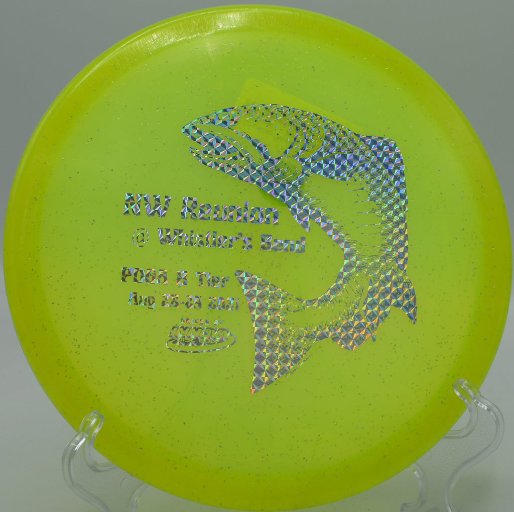 Innova Gator skipping up to the basket on Hole 6 at DeLaveaga Disc Golf Course, Santa Cruz, California.
