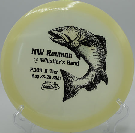 Innova Glow Teebird3 holding a dead-straight flight under the lights on Hole 12 at Timber Ridge Disc Golf Course, Castile, New York.
