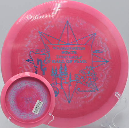 ESP Anax lying parked under the basket after a precise fairway drive at DeLaveaga Disc Golf Course in Santa Cruz, California.


