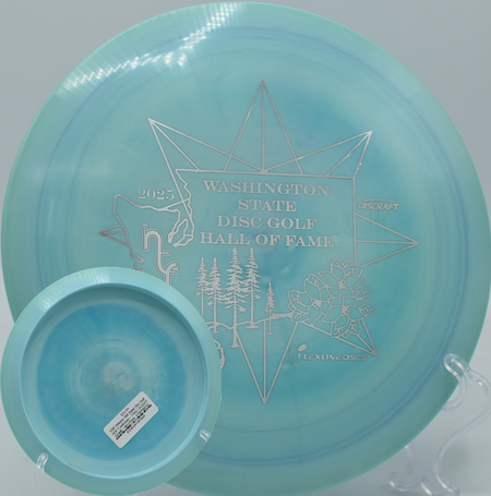 Close-up of swirly ESP Athena plastic with Paul McBeth stamp at Harmon Hills in Fall Branch, Tennessee.

